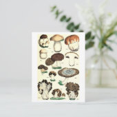  Paddestoel Botanisch Briefkaart (Staand voorkant)