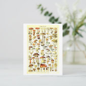  Paddestoel Botanische Illustratie Briefkaart (Staand voorkant)