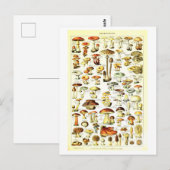  Paddestoel Botanische Illustratie Briefkaart (Voorkant / Achterkant)