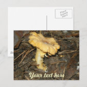 Paddestoel Briefkaart (Voorkant / Achterkant)