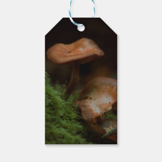 Paddestoel cadeau labels cadeaulabel (Voorkant)