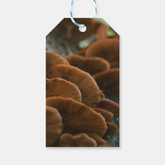 Paddestoel cadeau labels cadeaulabel (Voorkant)