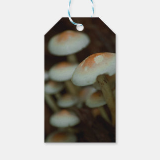 Paddestoel cadeau labels cadeaulabel