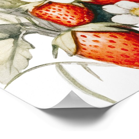 Paddestoel en aardbeien Verjaardag Welkomstbord Poster (Hoek)