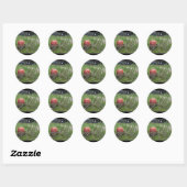Paddestoel in het gras ronde sticker (Vel)