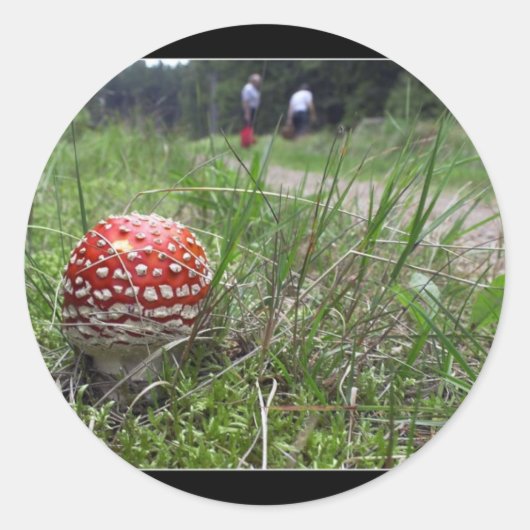 Paddestoel in het gras ronde sticker (Voorkant)