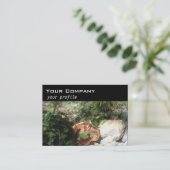 Paddestoel, klimop, stenen visitekaartje (Staand voorkant)