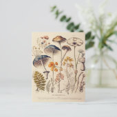  Paddestoel Naturalist Briefkaart (Staand voorkant)