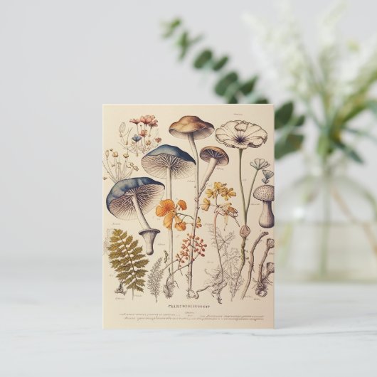  Paddestoel Naturalist Briefkaart (Staand voorkant)