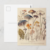  Paddestoel Naturalist Briefkaart (Voorkant / Achterkant)