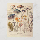  Paddestoel Naturalist Briefkaart (Voorkant)