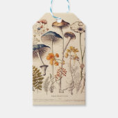 Paddestoel Naturalist Cadeaulabel (Voorkant)