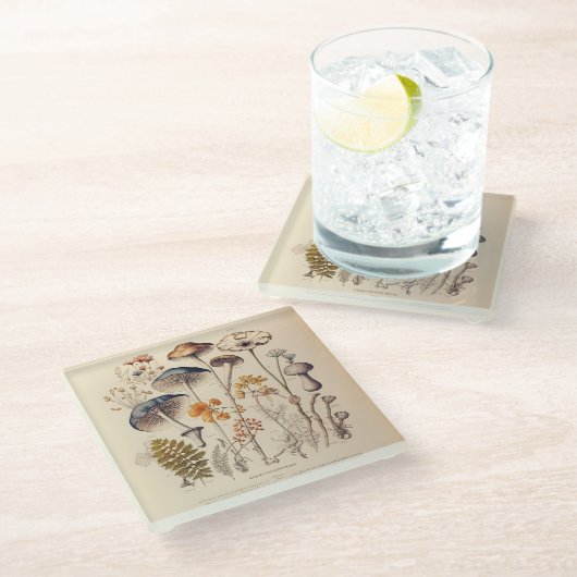  Paddestoel Naturalist Glazen Onderzetter (Schuin)