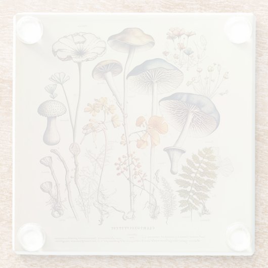  Paddestoel Naturalist Glazen Onderzetter (Achterkant)