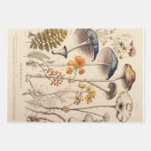  Paddestoel Naturalist Inpakpapier Vel (Voorkant 3)