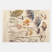  Paddestoel Naturalist Inpakpapier Vel (Voorkant)