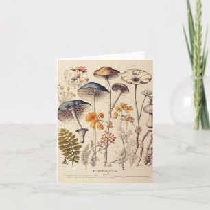 Paddestoel Naturalist Kaart