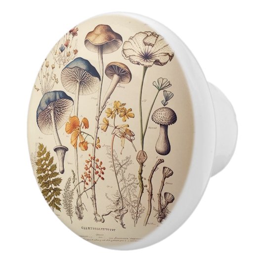  Paddestoel Naturalist Keramische Knop (Rechts)