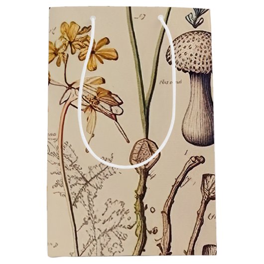  Paddestoel Naturalist Medium Cadeauzakje (Voorkant)