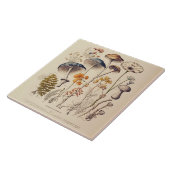  Paddestoel Naturalist Tegeltje (Zijkant)