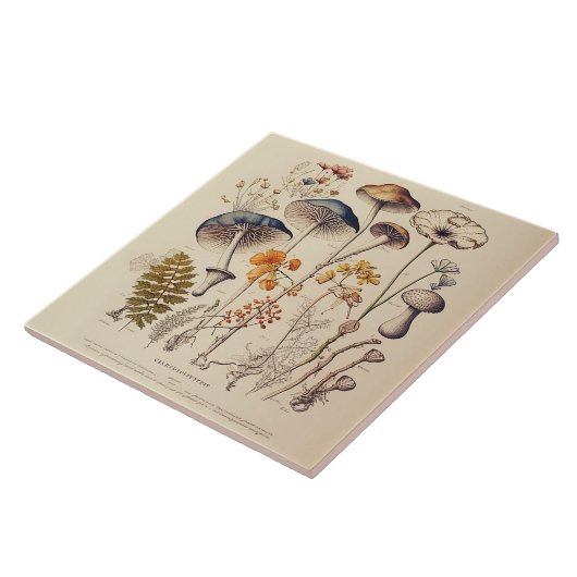  Paddestoel Naturalist Tegeltje (Zijkant)