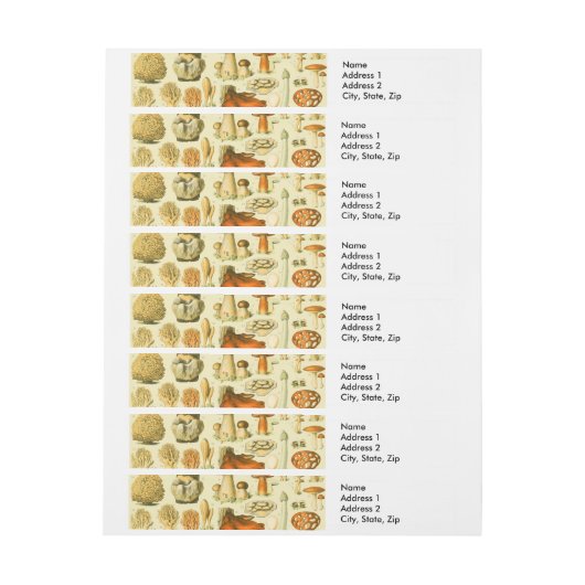 Paddestoel  paddestoel Antiek illustratie Adreslabel Wikkel (Vel)