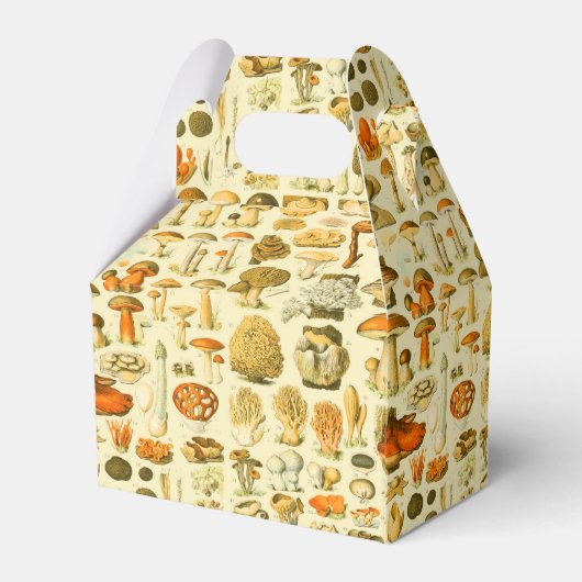 Paddestoel paddestoel Antiek illustratie Bedankdoosjes (Achterkant)