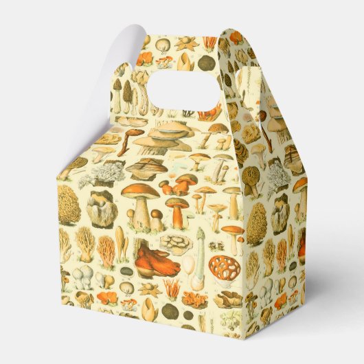 Paddestoel  paddestoel Antiek illustratie Bedankdoosjes (Voorkant Zijde)