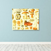 Paddestoel  paddestoel Antiek illustratie Canvas Afdruk (Insitu (Houten vloer))