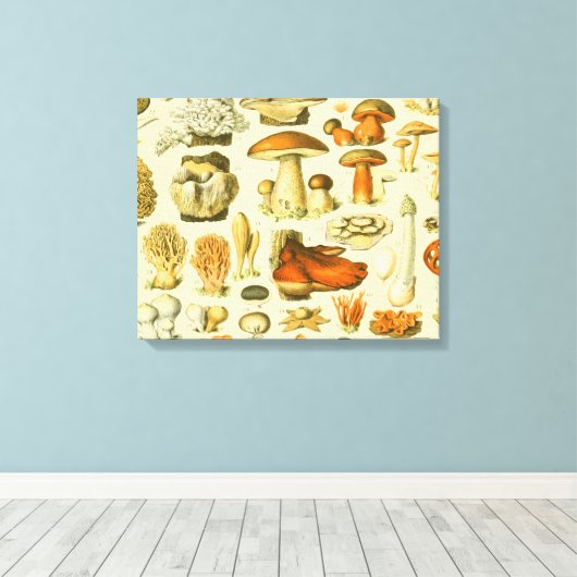 Paddestoel  paddestoel Antiek illustratie Canvas Afdruk (Insitu (Houten vloer))