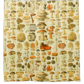 Paddestoel  paddestoel Antiek illustratie Douchegordijn (Voorkant)