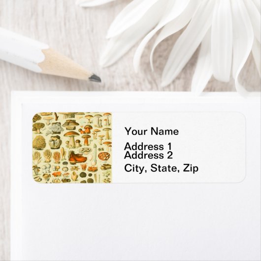 Paddestoel  paddestoel Antiek illustratie Etiket (Insitu)