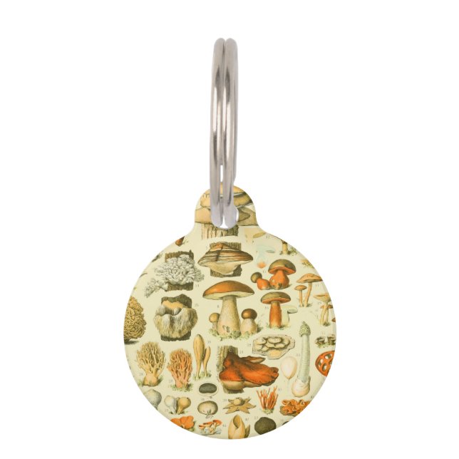 Paddestoel  paddestoel Antiek illustratie Huisdierpenning (Voorkant)