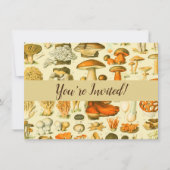 Paddestoel paddestoel Antiek illustratie Kaart (Voorkant)