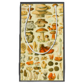 Paddestoel  paddestoel Antiek illustratie Klein Cadeauzakje (Voorkant)