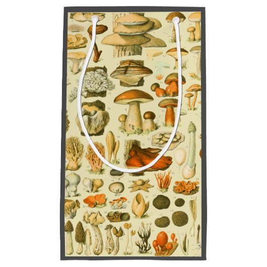 Paddestoel  paddestoel Antiek illustratie Klein Cadeauzakje (Voorkant)