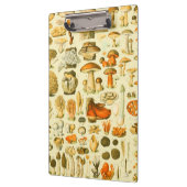 Paddestoel paddestoel Antiek illustratie Klembord (Links)