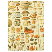 Paddestoel paddestoel Antiek illustratie Klembord (Achterkant)