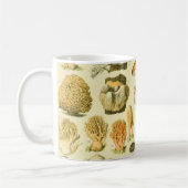 Paddestoel  paddestoel Antiek illustratie Koffiemok (Links)