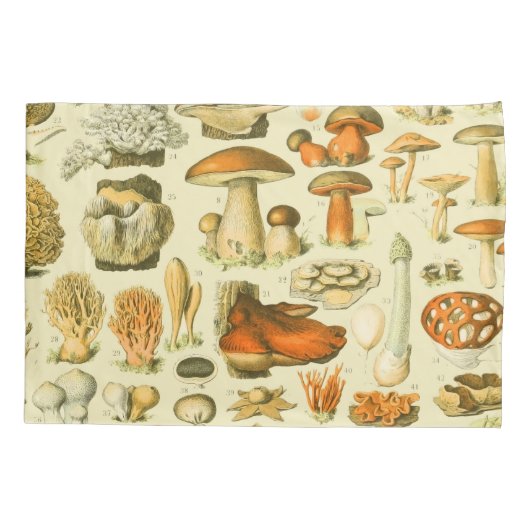 Paddestoel  paddestoel Antiek illustratie Kussensloop (Achterkant)