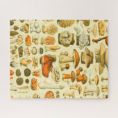 Paddestoel  paddestoel Antiek illustratie Legpuzzel (Horizontaal)