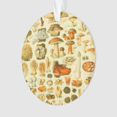 Paddestoel  paddestoel Antiek illustratie Ornament (voorkant)