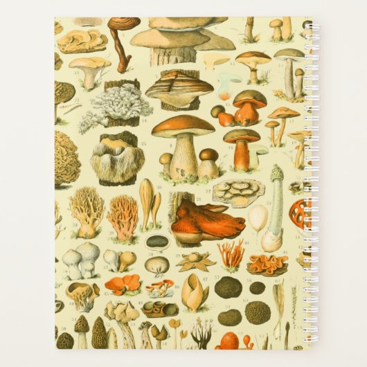 Paddestoel  paddestoel Antiek illustratie Planner (Achterkant)