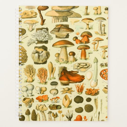 Paddestoel  paddestoel Antiek illustratie Planner (Voorkant)