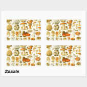 Paddestoel  paddestoel Antiek illustratie Rechthoekige Sticker (Vel)