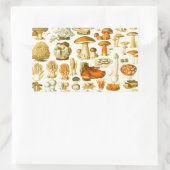 Paddestoel  paddestoel Antiek illustratie Rechthoekige Sticker (Tas)