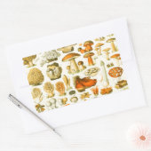 Paddestoel  paddestoel Antiek illustratie Rechthoekige Sticker (Envelop)