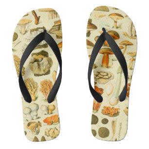 Paddestoel  paddestoel Antiek illustratie Teenslippers