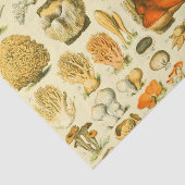 Paddestoel  paddestoel Antiek illustratie Tissuepapier (Detail)