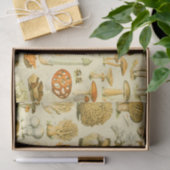 Paddestoel  paddestoel Antiek illustratie Tissuepapier (Geschenk)
